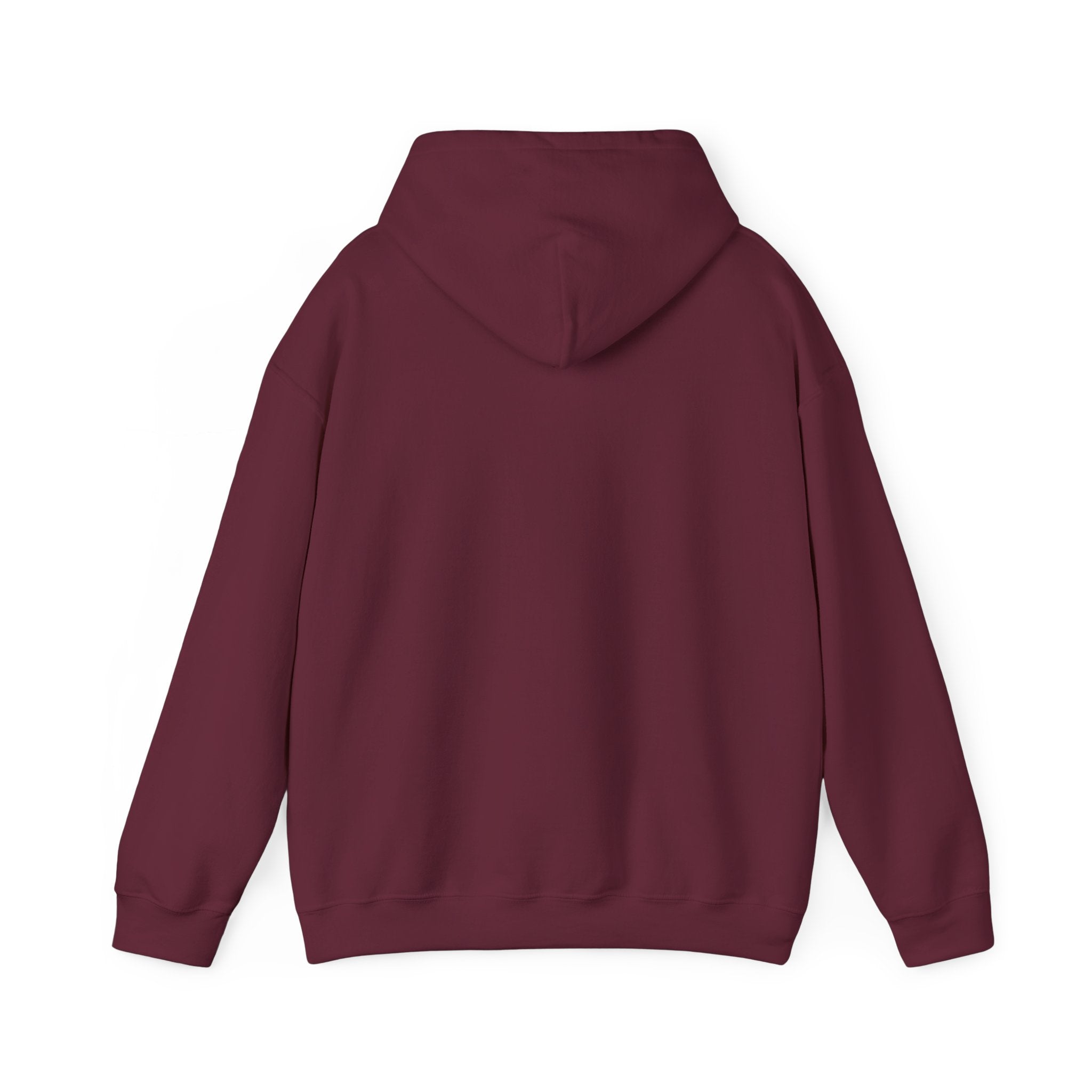 I’m Literally Just a Girl Who Loves Jesus Hoodie
